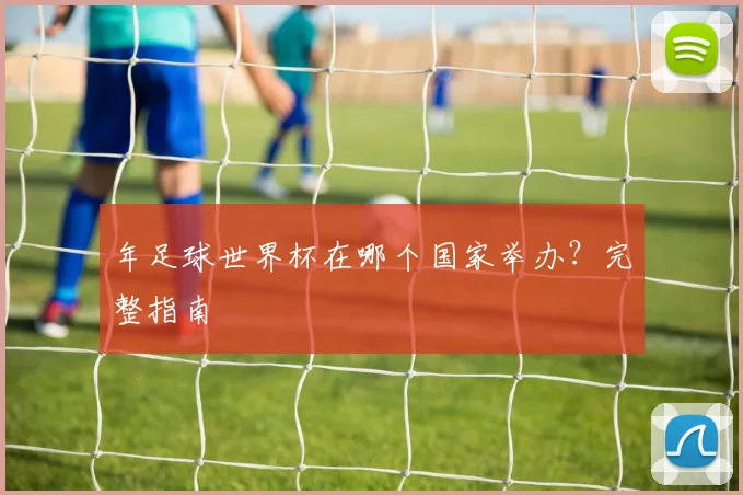 年足球世界杯在哪个国家举办？完整指南