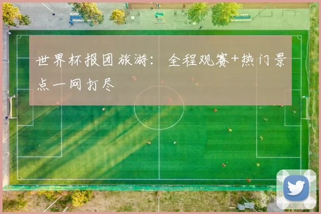 世界杯报团旅游:全程观赛+热门景点一网打尽