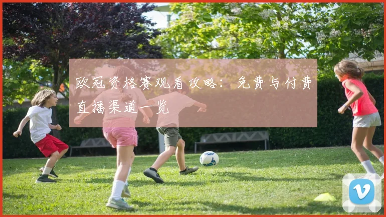 欧冠资格赛观看攻略：免费与付费直播渠道一览