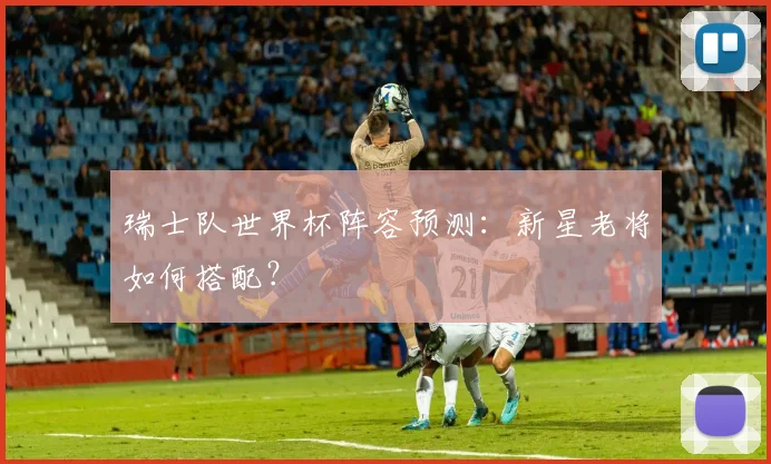 瑞士队世界杯阵容预测：新星老将如何搭配？