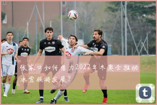 张家口如何借力2022年冬奥会推动冰雪旅游发展？