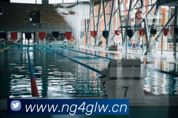 App Interface Preview